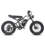 Fafrees F20 ultra 750W 20" Fat Bike – Image 3