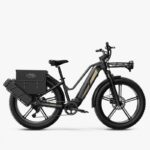 Fiido Titan Vélo électrique Cross & Randonnée – Image 8