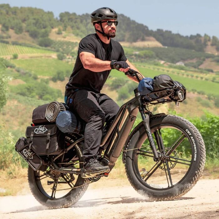 Fiido Titan Vélo électrique Cross & Randonnée – Image 4