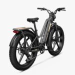 Fiido Titan Vélo électrique Cross & Randonnée – Image 2