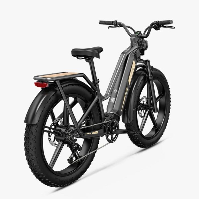 Fiido Titan Vélo électrique Cross & Randonnée – Image 2
