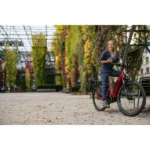Vélo électrique cargo FLYER Gotour 3 7.43 2022 – Image 2