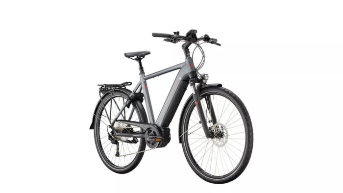 Victoria e-Trekking 12.6 Diamant – Image 1